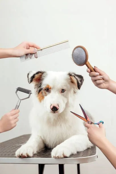 Groomer brushing a dog on a grooming table