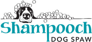 Shampooch-Bubbles-Pooch-logo